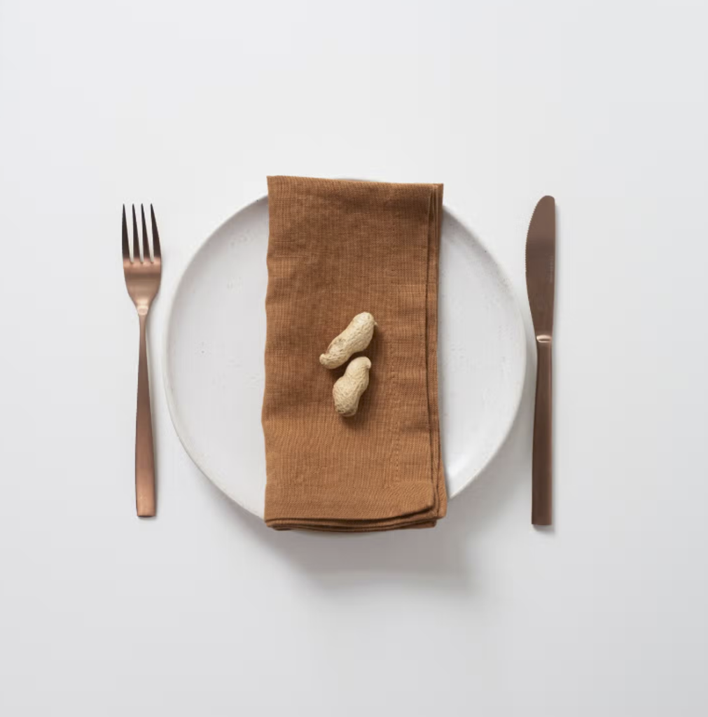 Linen Napkins (set of 2)