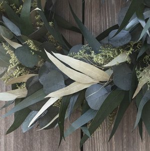 18" Willow and Silver Dollar Wreath